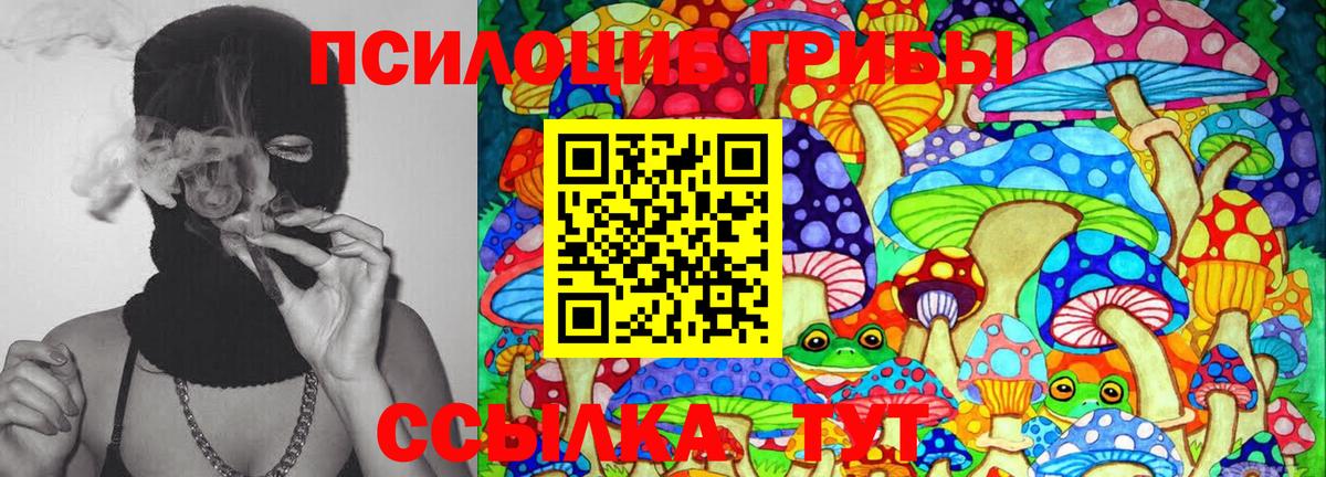 Псилоцибиновые грибы Psilocybe  Вход с VPN  Ленинск-Кузнецкий 