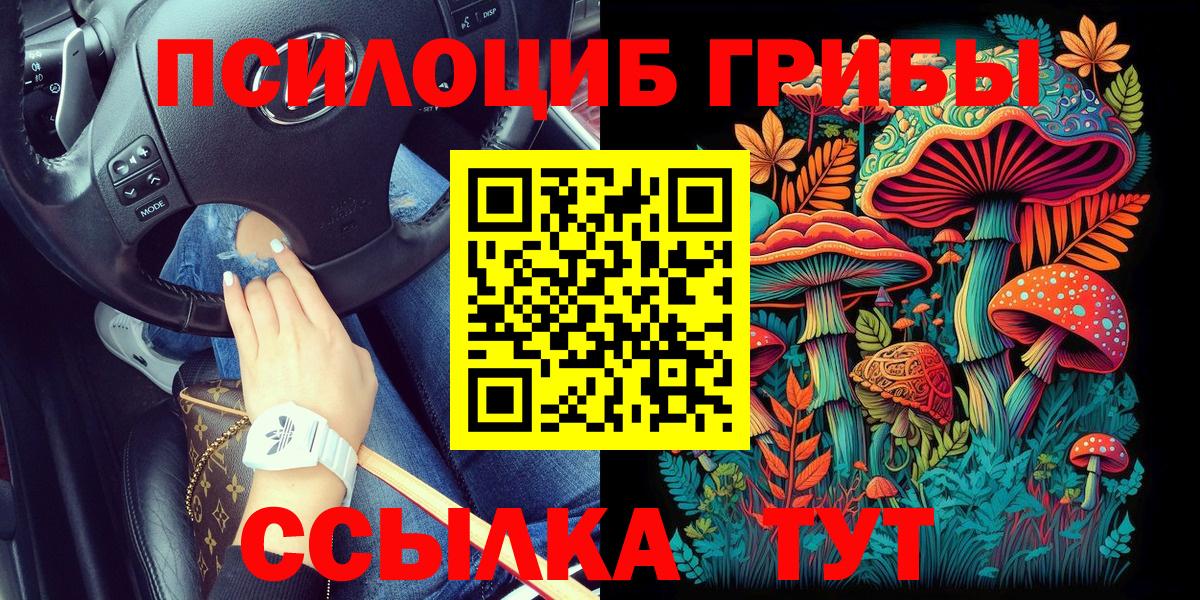  Кокаин Ленинск-Кузнецкий